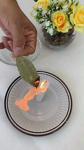 La feuille de laurier dans le portefeuille vous surprendra en quelques jours | Lujo de Recettes