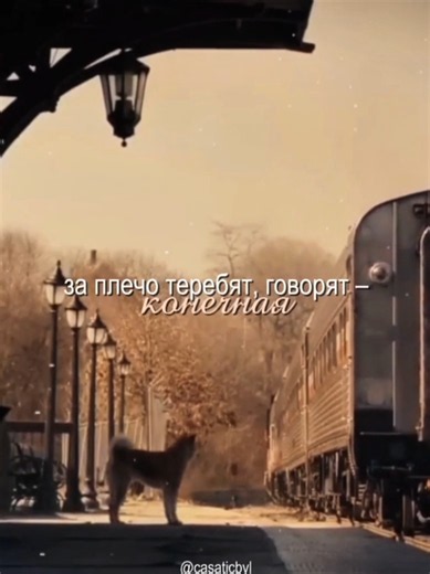The Loyalty of Hachiko: A Heartwarming Story