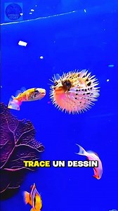 Le poisson-globe 🐡 : l’artiste caché de l’océan