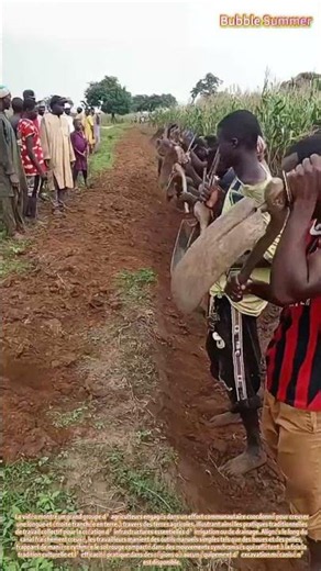 travaux communautaires pour la creuse de canaux d'irrigation agricoles