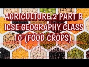 Agriculture 2 Part B ICSE geography class 10|| food crops