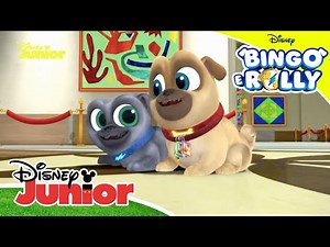 Bingo e Rolly | Na Biblioteca