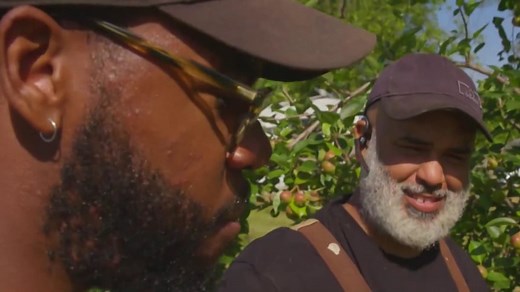 Small Georgia farm pivots to home deliveries in pandemic