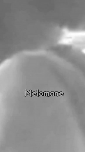 Little Roy - Tampi Lyrics: A Deep Dive