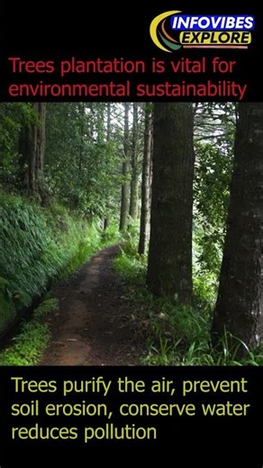 The importance of planting trees