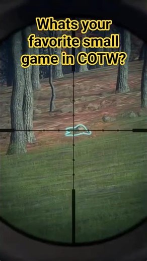 Raccoon Hunt in the New England Mountains! 🦝 | COTW Short #hunting #huntinggame #cotwgameplay