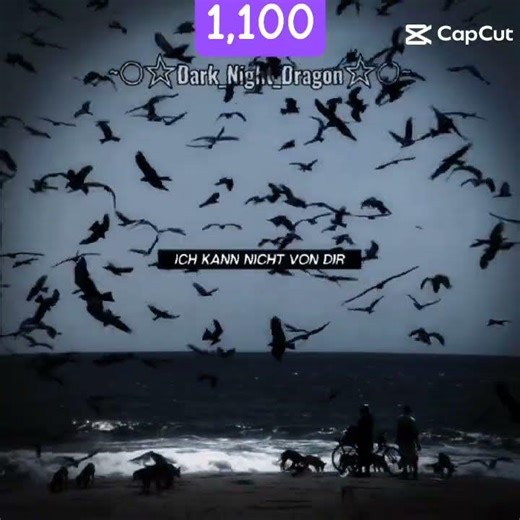 Eagles N Hawks [Beautiful Creatures edit]