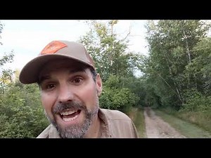 Eastern Towhee - Learn A Bird - Episode #22