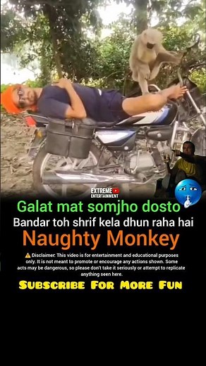 Naughty Monkey#💯 #shorts #motivatinalvedio #motivation #motivationalquotes #inspiration #short