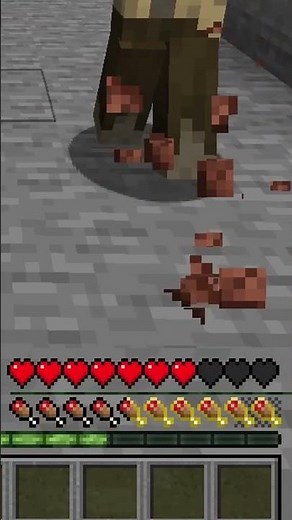 Appleskin (Mini Mod Reviews) #minecraft