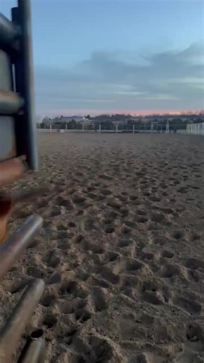 Good practice on #hank #bag #classicropes #smarty @Heather Lewis