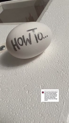 Dry Hatching Simplified: Tips for Incubating Chicken Eggs