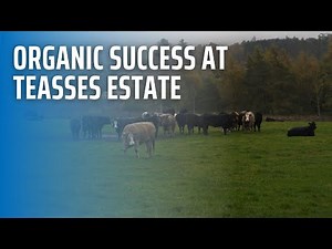 Organic Success at Teasses Estate