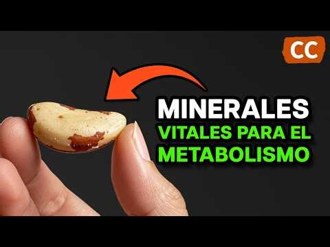 MINERALES VITALES para un METABOLISMO SALUDABLE