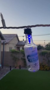 17 Liquor Mini Vodka Bottles 50 String Lights Man Cave Holiday Christmas 10 Feet - Etsy