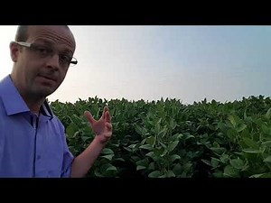 Dew formation and application details.