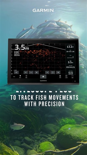 LiveScope Plus | See fish move in real time