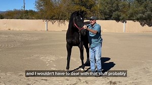 Why Wednesday ~ I've recently started practicing The Masterson Method bodywork with my horses. One of them is pretty skittish and moves around a lot when I try the Lateral Cervical Flexion Technique. Any tips for working with a “fussy” horse? Answer: If a horse seems uncomfortable with the Lateral Cervical Flexion Technique, there are a few key things to keep in mind: 🔹 First, if the horse pulls away, don’t pull back! Yield slightly with your hand—just enough for him to stop pulling. 🔹 If you 