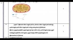 11th Zoology 2nd MidTerm Answer Keys 2019-20 Namakkal District Tamil Medium