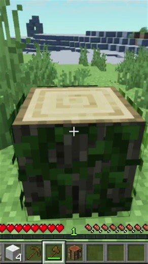 Minecraft Shorts Survival Series #minecraft #bestminecraftclips #minecraftshorts #survival