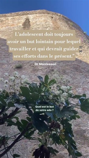 Votre ado travaille-t-il cet été ? C'est légal à partir de 15 ans en France, voir ma dernière vidéo