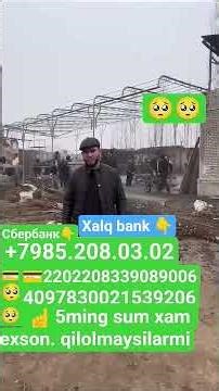 +79852080302 сбербанк