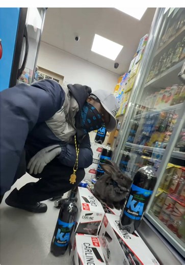 Exploring the Origins of Global Changes