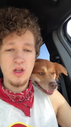 Understanding the Sounds Dogs Make