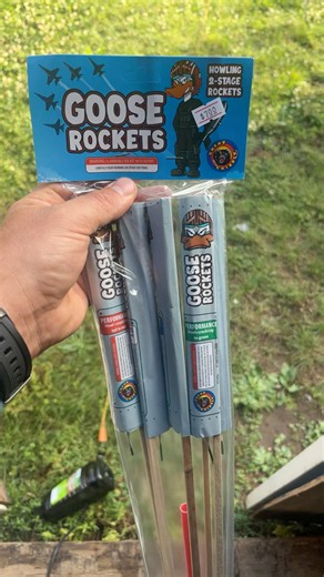 Daily Firework: Goose Rockets by Great Grizzly #shorts #fireworks #greatgrizzly #250th