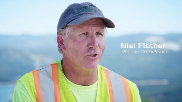 8.6K views · 4K reactions | It's a choice: Manage the forests and enjoy the benefits or deal with the consequences - dead forests, burning forests, unhealthy forests, infested forests. | American Loggers Council | Facebook