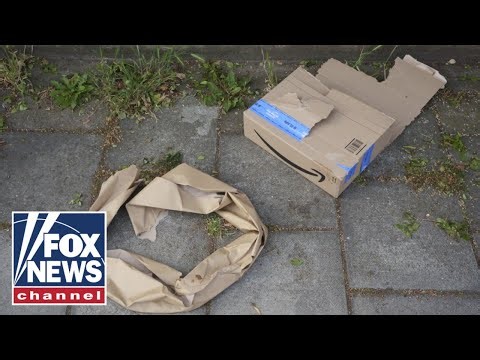 14 ARRESTED in bust on 'Porch Pirate' theft ring