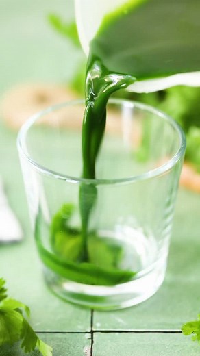 36K views · 892 reactions | Cilantro Shot Comment CILANTRO to...