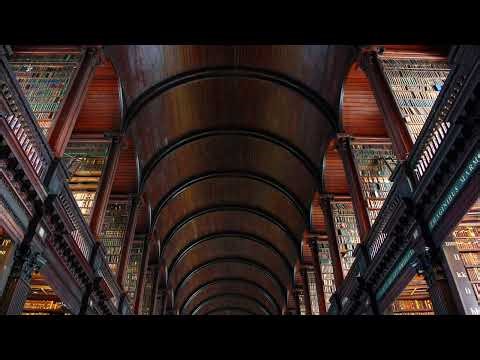 Back to Studying. Shh! In the Library. Relaxing Sounds. Drift into your own happiness.