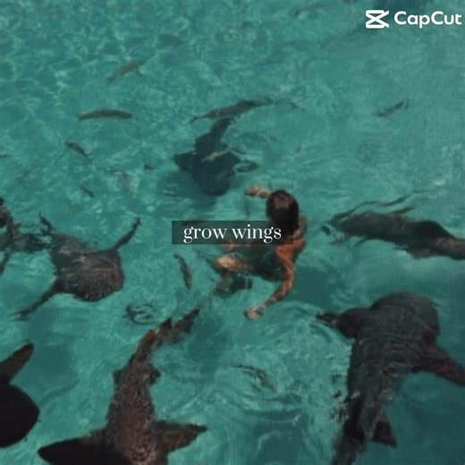 Future career😼#marinelife #marinebiology #marinebiologist #career #future