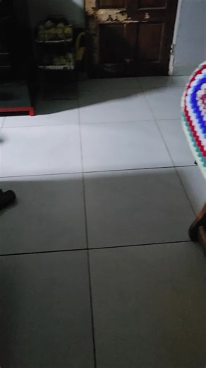 Willie Theresa Terblanche (@willie.theresa.te)’s videos with original sound - Willie Theresa Terblanche