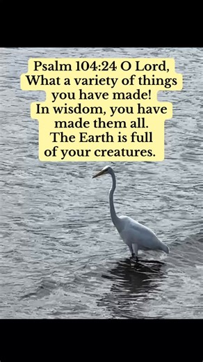 #psalms | Salt of Life Author Page