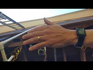 Best Way to Get Rid of Carpenter Bees — Fast, Cheap, Proven! How to kill carpenter bees.