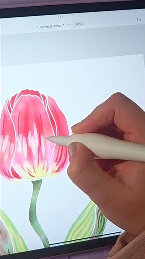 Adobe Fresco digital watercolor process: pink tulip🌷🌷🌷#digitalilluatrations #floralart #adobefresco