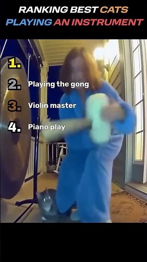 Ranking best cats playing an instrument
