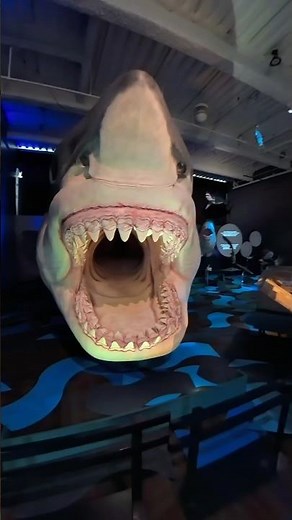 This Is How Kids Study in America! 🇺🇸 | USA Science Center
