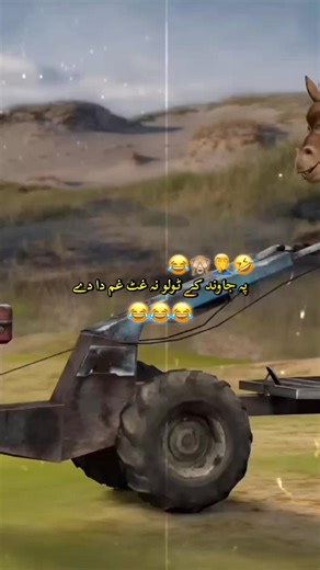 Poshto Funny Video Compilation to Brighten Your Day