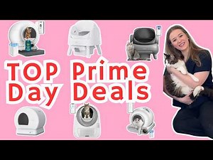 Best Cat Auto Litter Boxes on Amazon Prime Day 2025! FULL reviews linked