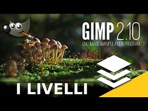 GIMP 2.10 Tutorial, Episode 1: Layers [Tutorial]
