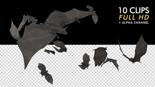 Flying Bats - Pack of 10