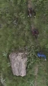 45 reactions | Our purpose is to make sports accessible to the many! 拾Check out our wide range of sports equipment and our 2hour delivery promise  | Decathlon Singapore | Facebook