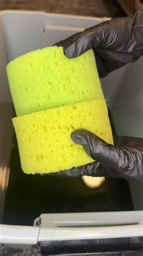 Discover the Joy of Sponge Squeezing ASMR