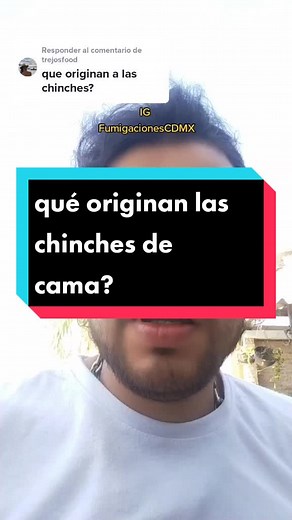 Origen de las Chinches de Cama: Contagio y Prevención