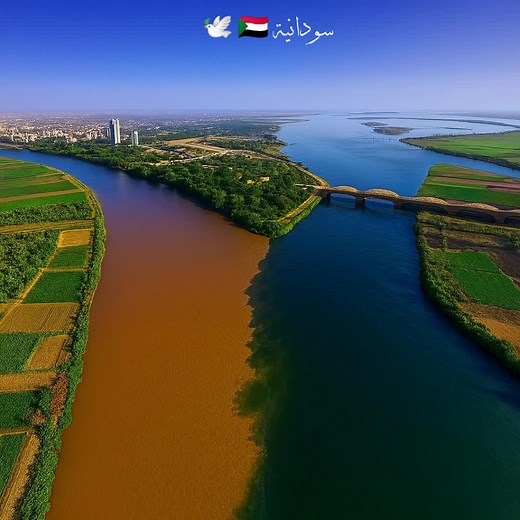 حلاة ملتقى النيلين في الخرطوم