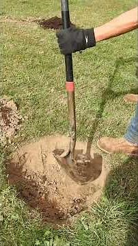 Fall Prep For Spring Planting of Trees