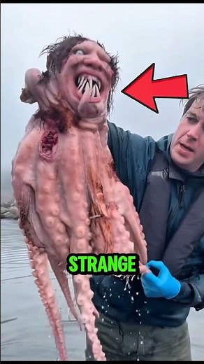 OCTOPUS 🐙 Under the Microscope! 😱🔬 #OctopusUnderMicroscope #WhatsInsideOctopus #oceanmystery